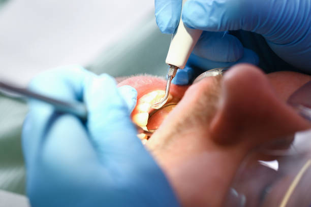 Best Pediatric Emergency Dentist in Level Green, PA